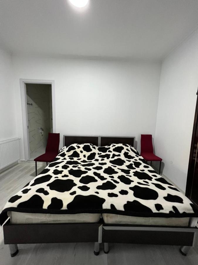 Guest House Lali Szenaki Kültér fotó